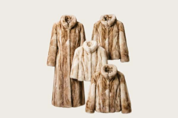 将乐县回收皮草衣服